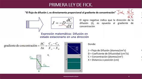 ley de flick|6.26: Difusión en Estado Constante, Coeficiente de .